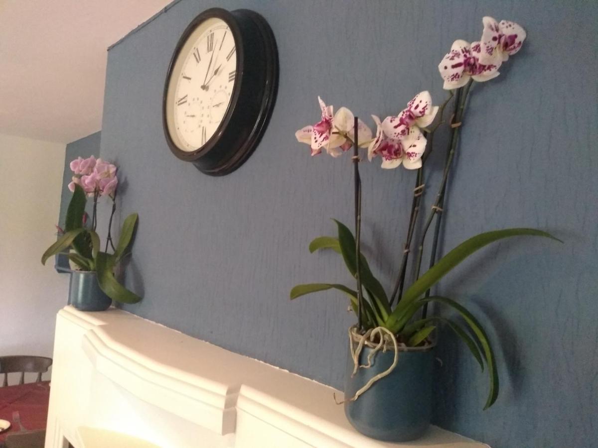 The Crossings Bed & Breakfast คาร์ลไอเอิล ภายนอก รูปภาพ